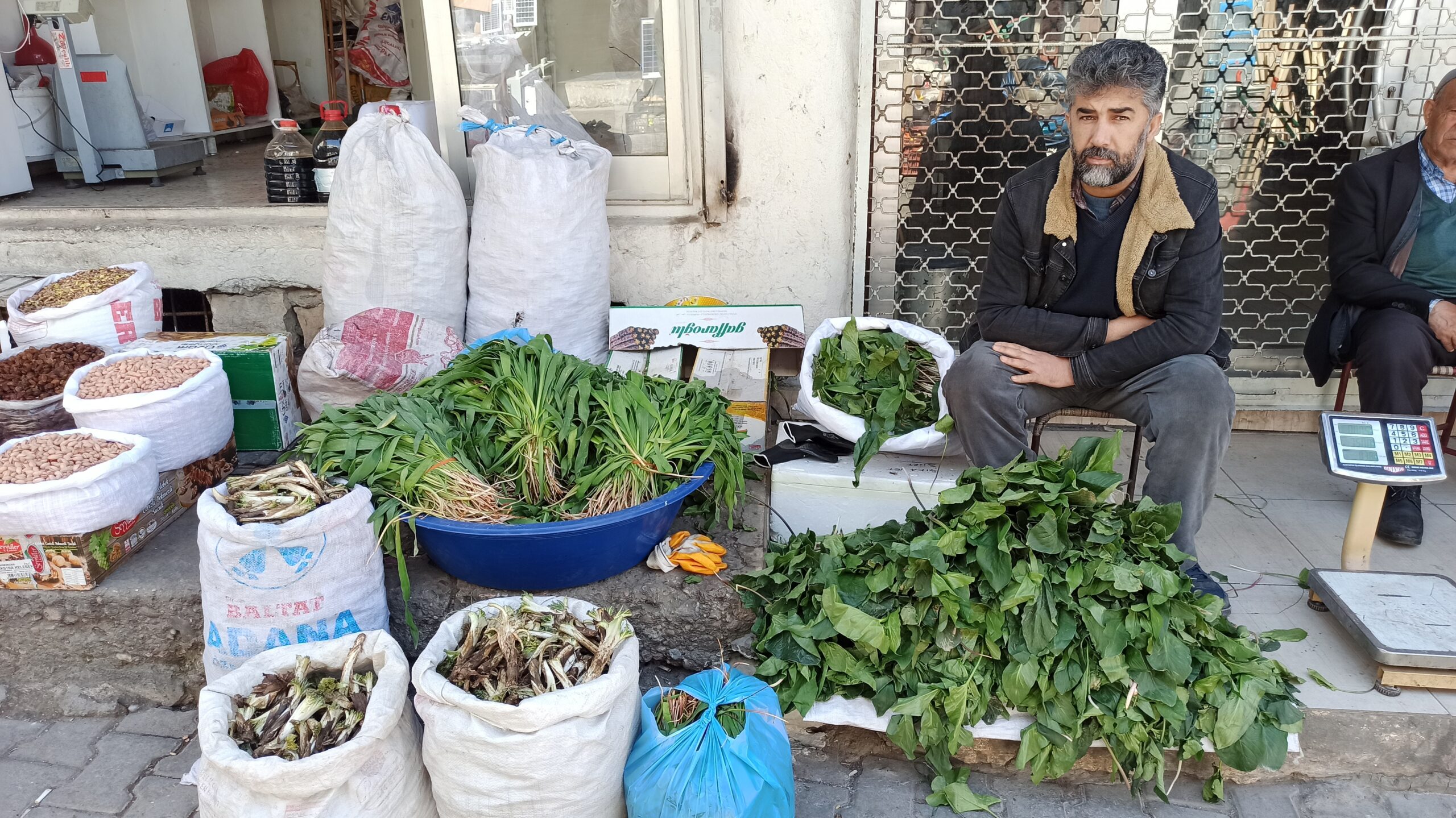 Bahar Geldi Şifalı Otlar Yeşermeye Başladı 