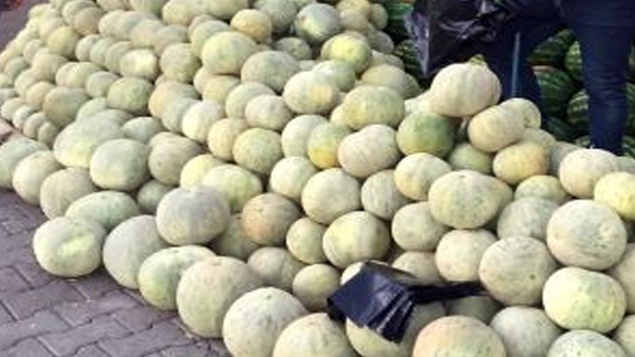 Cefan Kavunu Tarlada 3 TL Pazarda 12 TL!