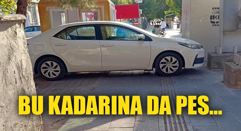 Rahatlığın Bu Kadarına da Pes