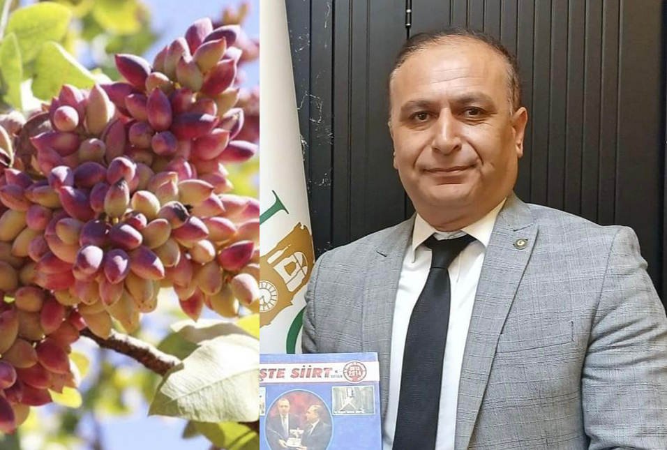 Dernek Başkanı Vehip Emrah’tan Siirt Fıstığında Kalite Uyarısı! Pense ile Açılan Fıstıklar Ticari İtibarı Zedeliyor
