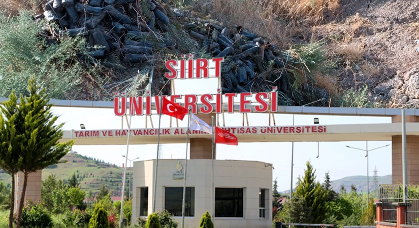 Türkiye Yüzyılına Nefes Olamadılar! Siirt Üniversitesi’nde Yüzlerce Çam Fidanı Çürütüldü