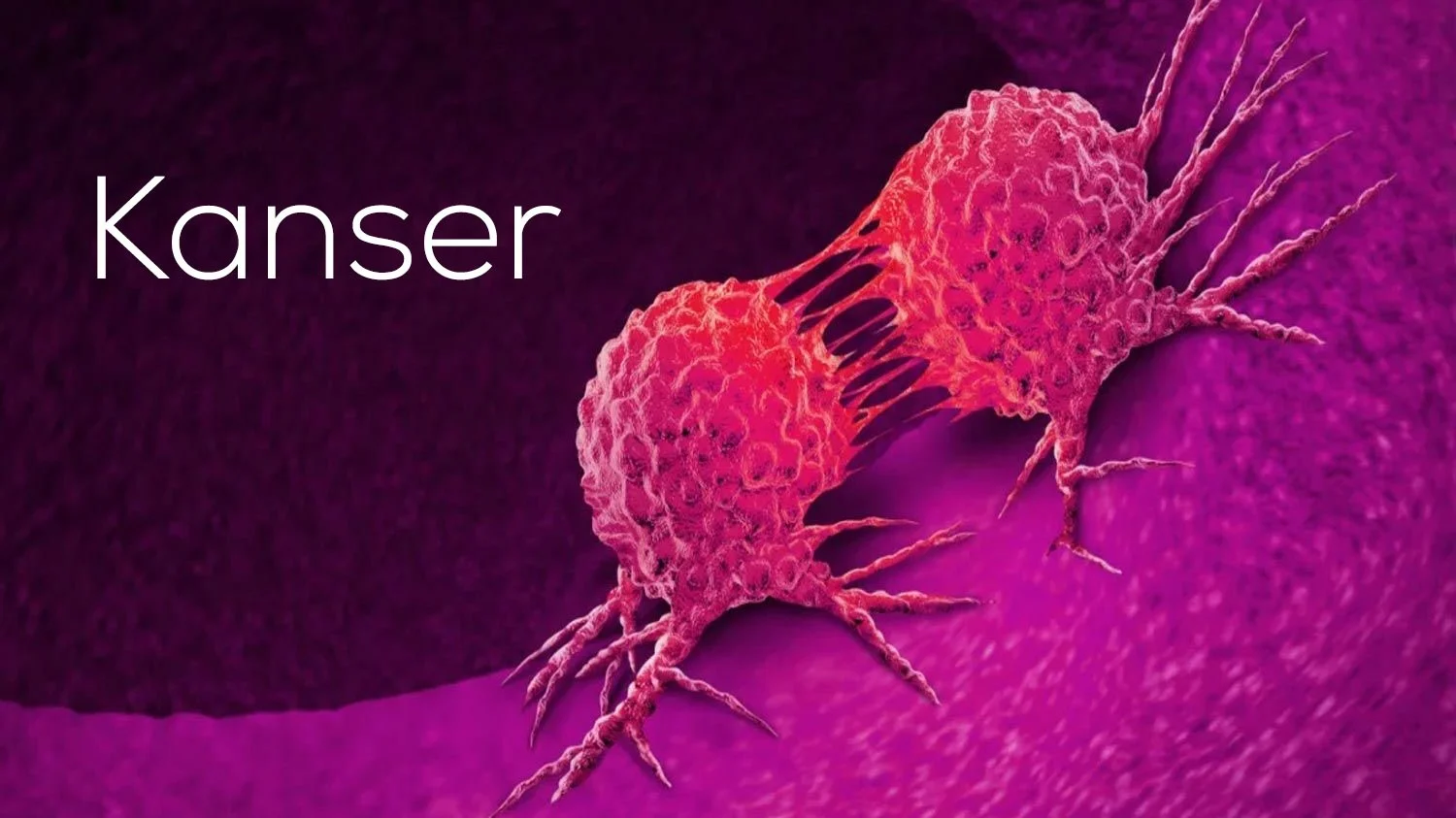 Türkiye’nin Kanser Haritası Açıklandı: Siirt Kanser Ölüm Oranı En Düşük İl!