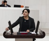 Siirt Milletvekili Sabahat Erdoğan Sarıtaş, Siirt’teki Kadına Yönelik Şiddet ve Şüpheli Ölümleri Meclis Gündemine Taşıdı