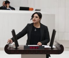 Siirt Milletvekili Sabahat Erdoğan Sarıtaş, Siirt’teki Kadına Yönelik Şiddet ve Şüpheli Ölümleri Meclis Gündemine Taşıdı