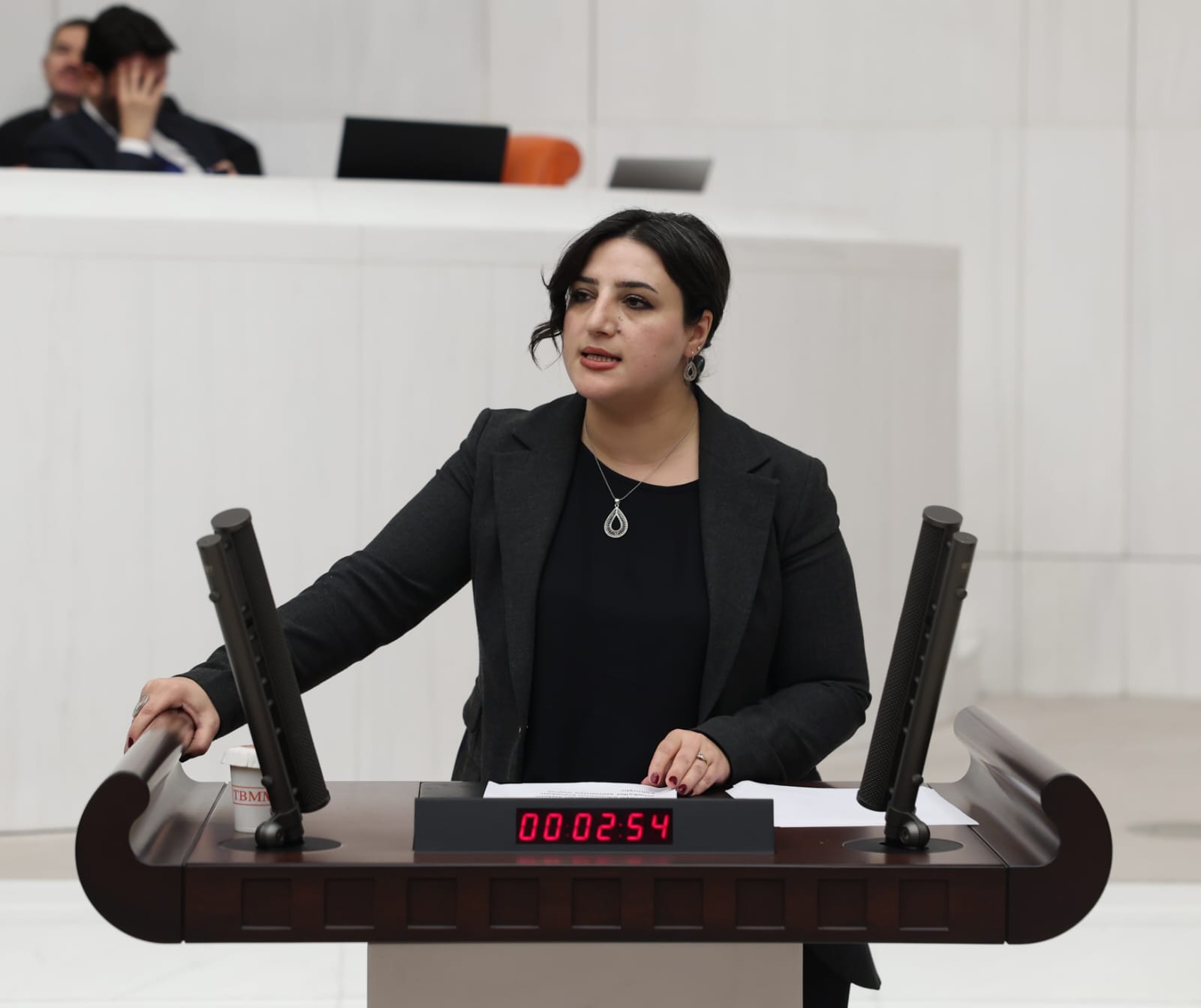 Siirt Milletvekili Sabahat Erdoğan Sarıtaş, Siirt’teki Kadına Yönelik Şiddet ve Şüpheli Ölümleri Meclis Gündemine Taşıdı