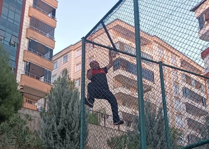 Siirt’te Çim Saha Tellerinde Sıkışan Yavru Kedi Kurtarıldı