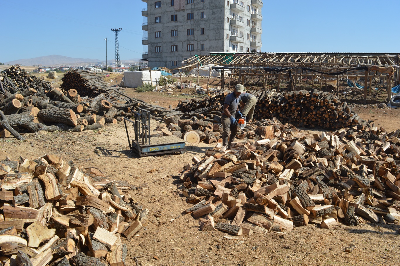Havalar Soğumaya Başladı, Odun Fiyatları El Yakıyor