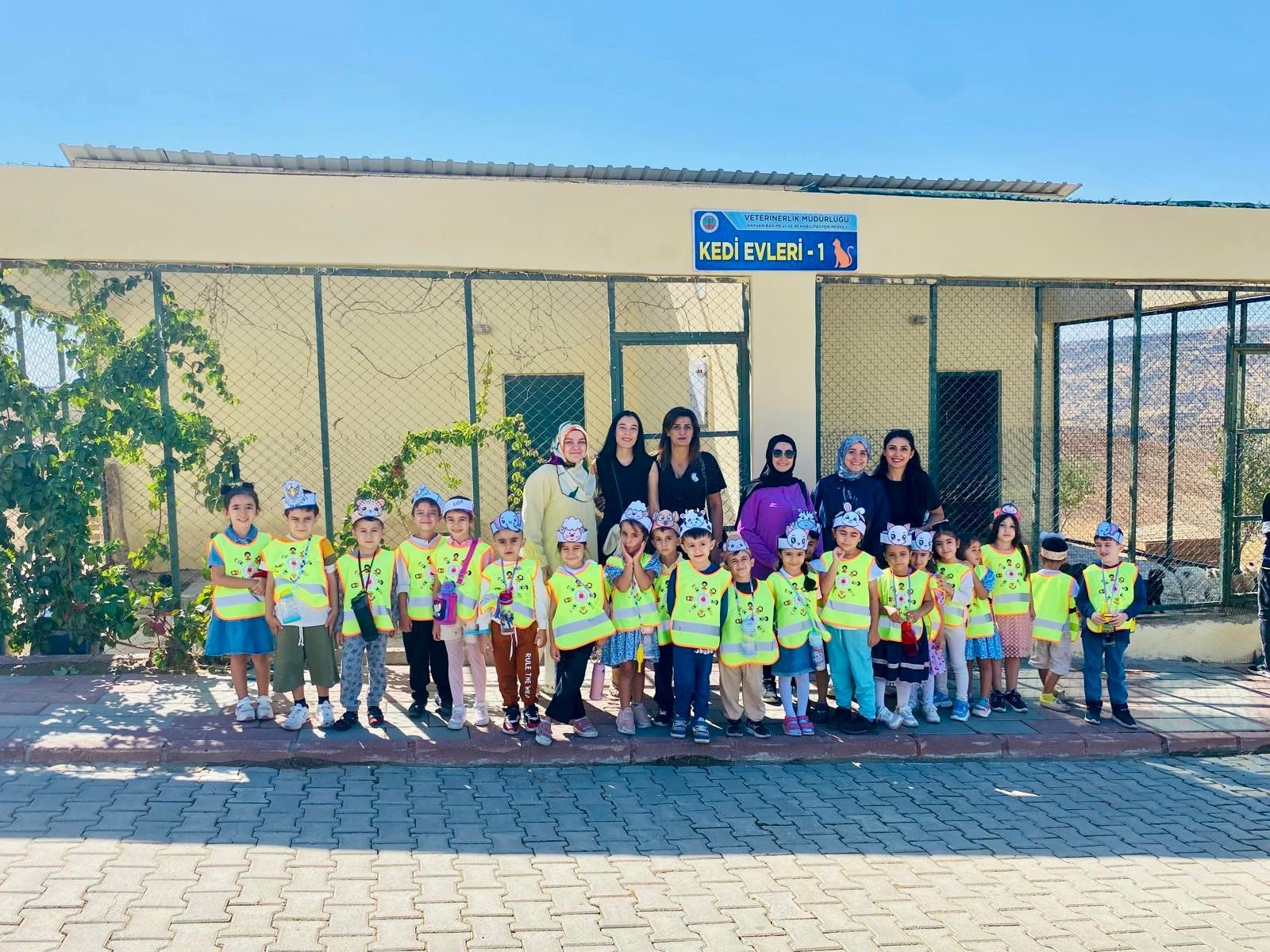 Siirt Belediyesi’nden, 4 Ekim Hayvanları Koruma Günü Etkinliği