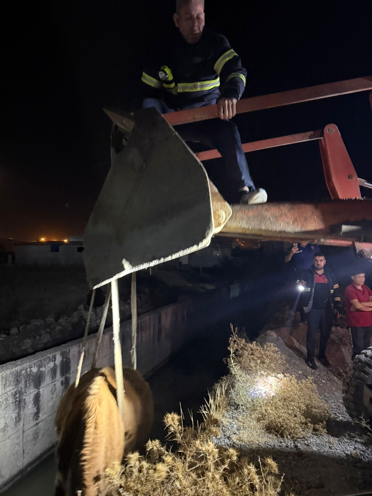Siirt’te İtfaiyenin Halatlı Müdahalesiyle Kanala Düşen İnek Kurtarıldı