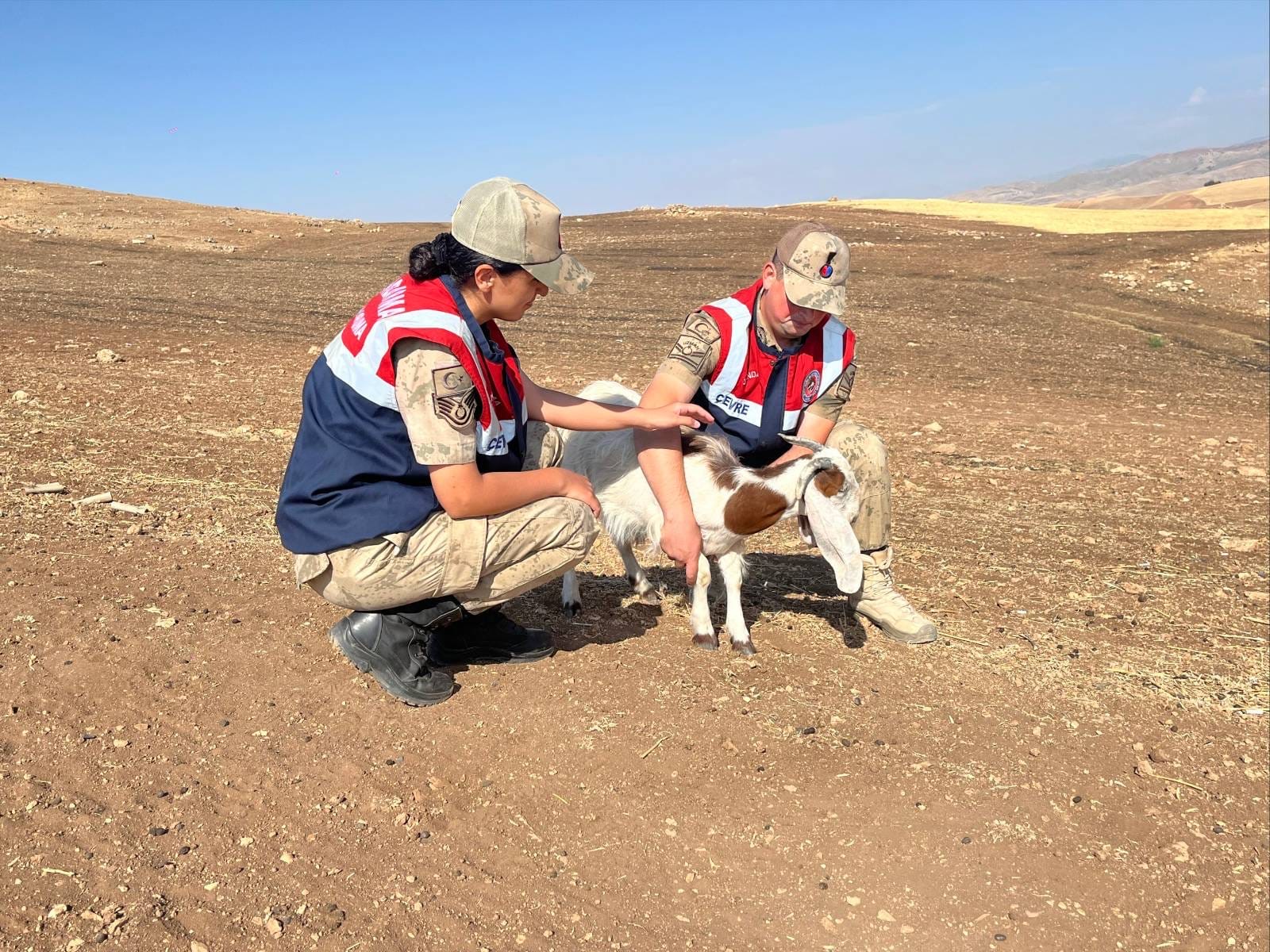 Siirt’in Eşsiz Doğasında Huzur ve Güven İçin Jandarma Sahada