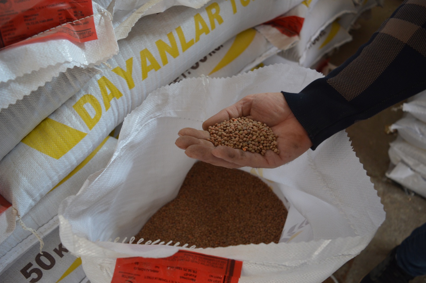 Siirt’te 203 Ton Sertifikalı Kırmızı Mercimek Tohumu Çiftçilere Dağıtıldı