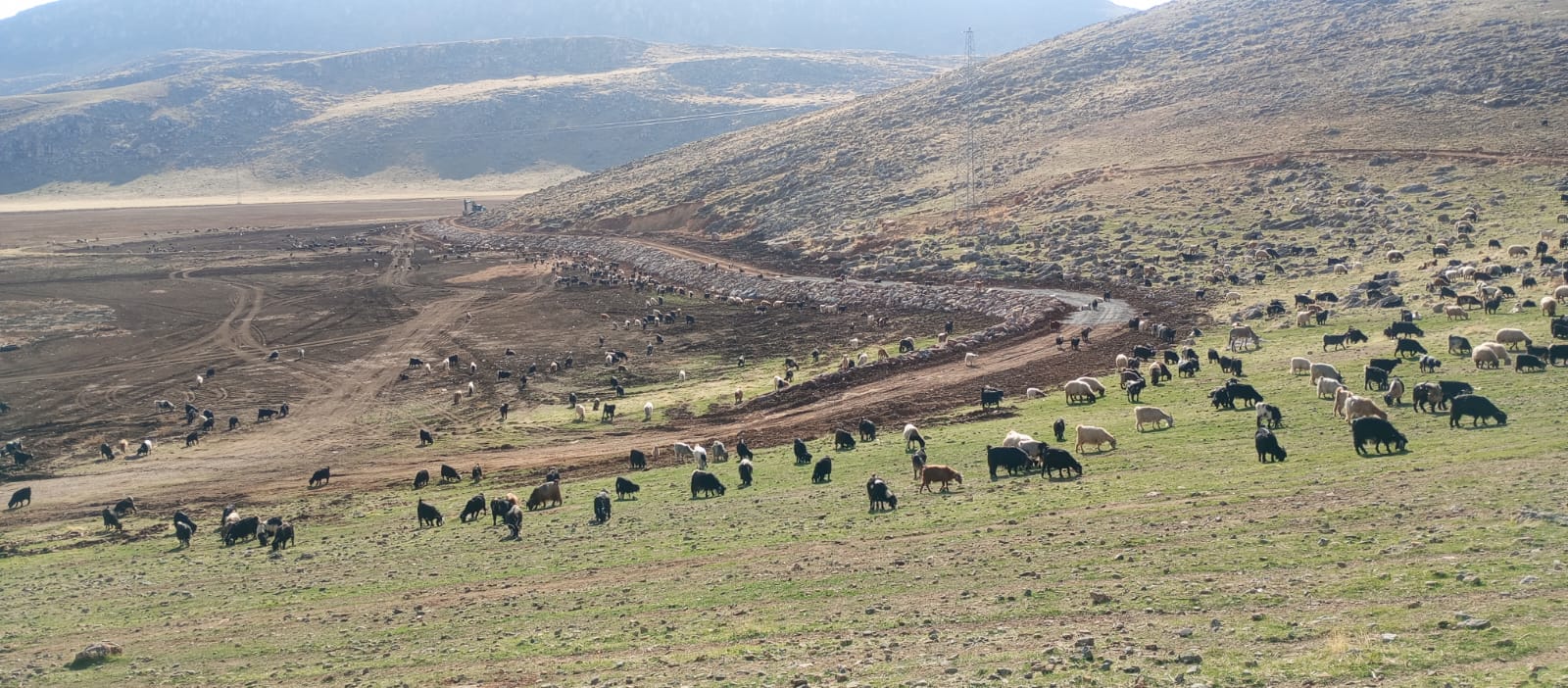Pervari Zirin Gölü Doğal Yaşamına Kavuşuyor
