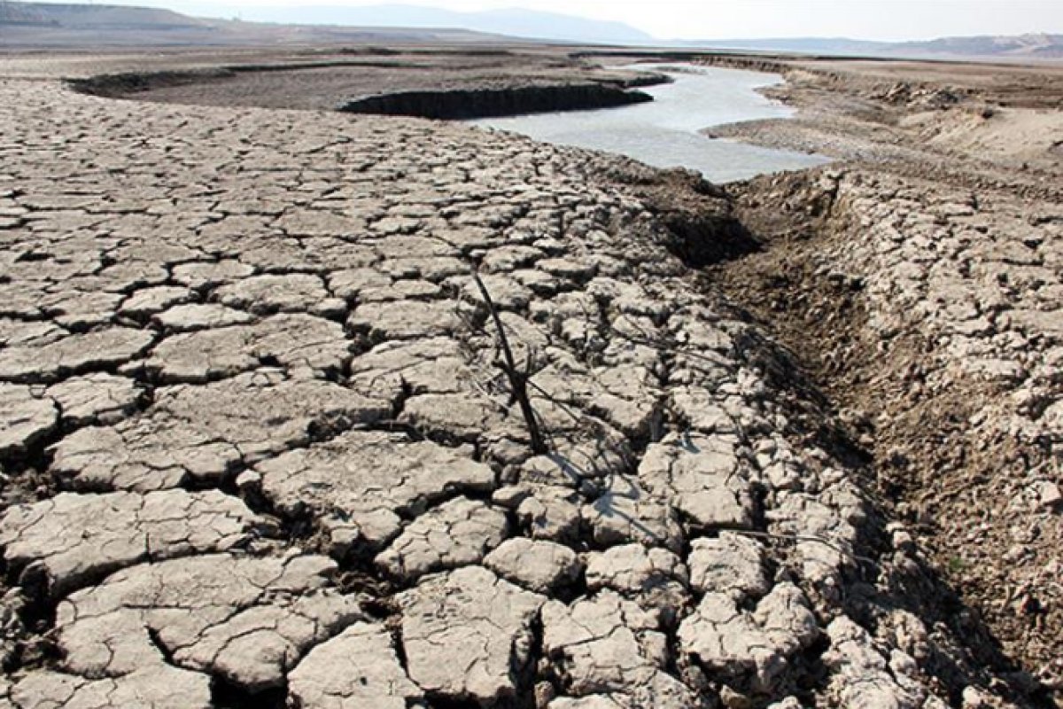 Siirt’te Kuraklık Alarmı! Yağışlar Normalin Çok Altında