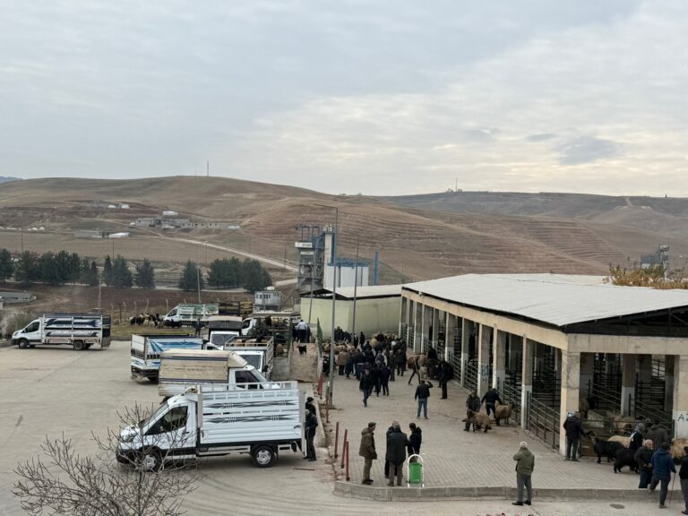 Siirt Hayvan Pazarı Yeniden Hizmete Açıldı