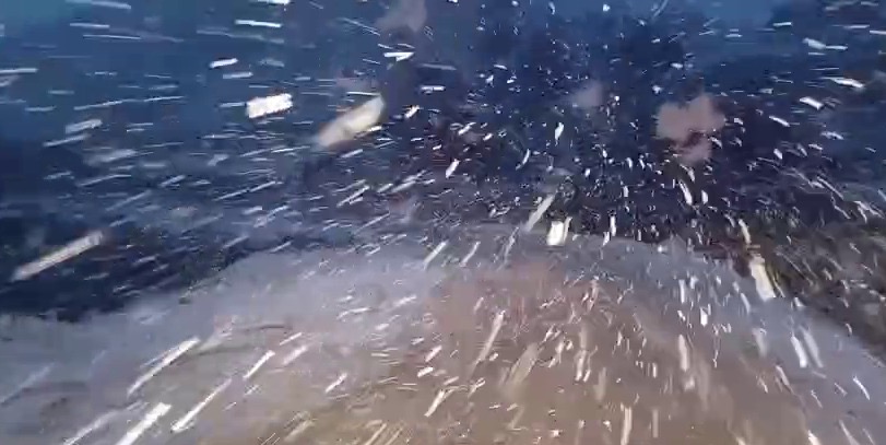 Pervari’de Beklenen Kar Yağışı Başladı