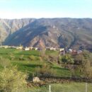 Şirvan Kırsalında Sessiz Reform