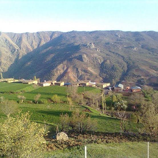 Şirvan Kırsalında Sessiz Reform