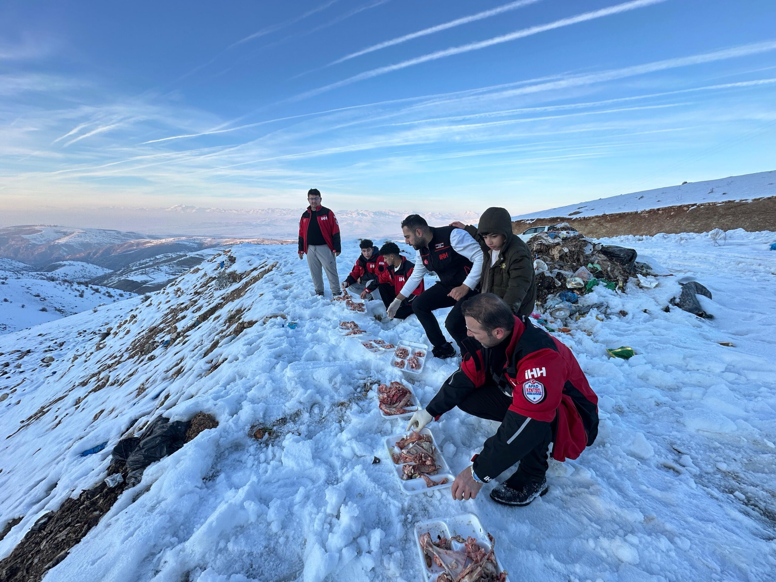 Siirt iHH’dan Yaban Hayvanlarına Yem