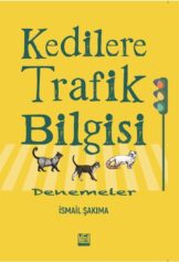 Hemşerimiz Şakıma’dan Yeni Bir Şaheser: Kedilere Trafik Bilgisi