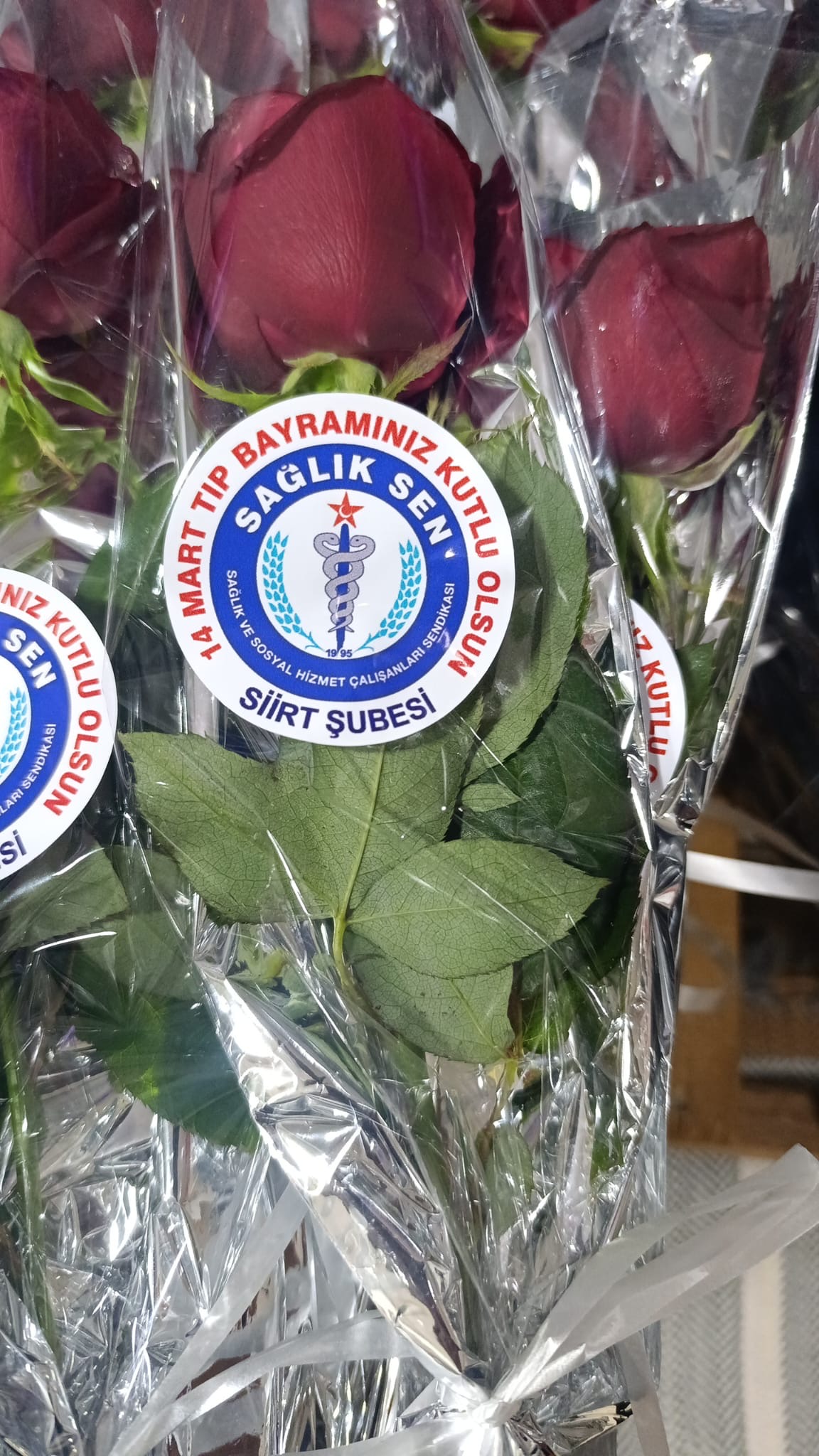 Sağlık-Sen İl Başkanı Eviz: Doktorlarımız Savaşta Ve Barışta İnsan Sağlığı İçin Her Türlü Fedakârlığı Gösteriyor