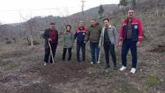 Güneydoğu’nun Yeşil Altını Tehlikede mi? Siirt’te Fıstık Ağaçları Kuruyor, Ekipler Alarmda