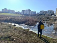 Siirt Belediyesi Larva Öncesi Kapsamlı İlaçlama Çalışmaları Başlatıldı