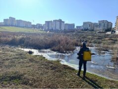 Siirt Belediyesi Larva Öncesi Kapsamlı İlaçlama Çalışmaları Başlatıldı