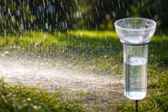 Siirt İl Genelinde Son İki Günde Kuvvetli Yağışlar Etkili Oldu