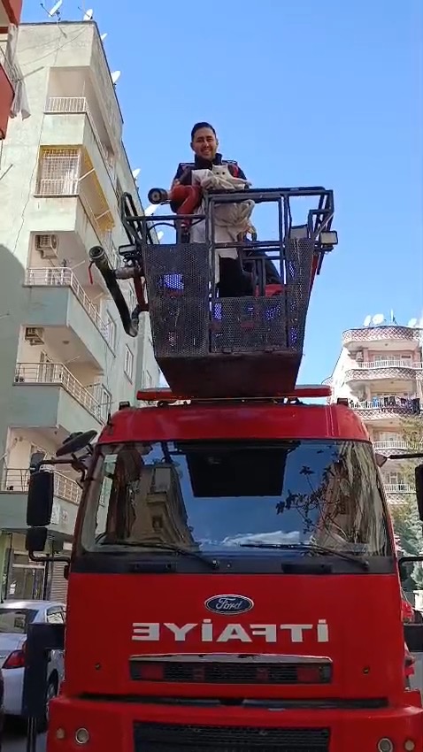 Siirt’te 3 Gündür Mahsur Kalan Kedi İtfaiye Tarafından Kurtarıldı